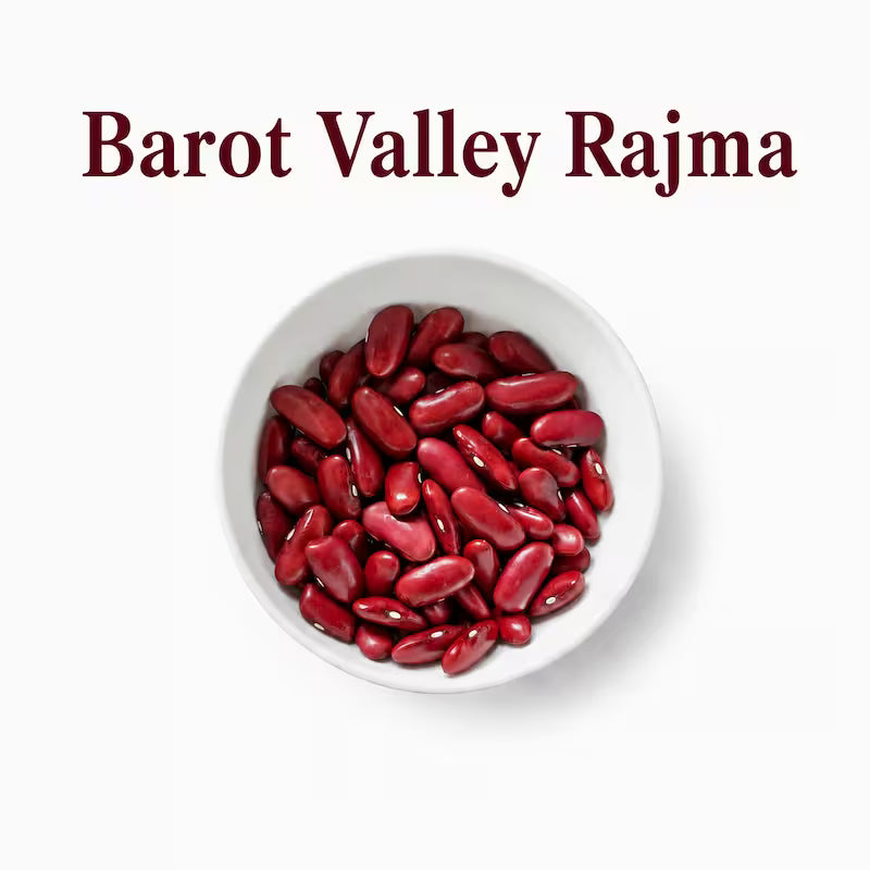 Pahadi Rajma: Authentic Himalayan Kidney Beans