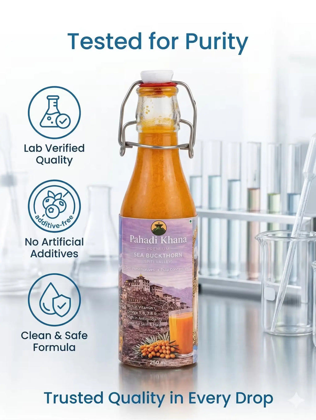 Himalayan Sea Buckthorn Juice Pahadi Khana