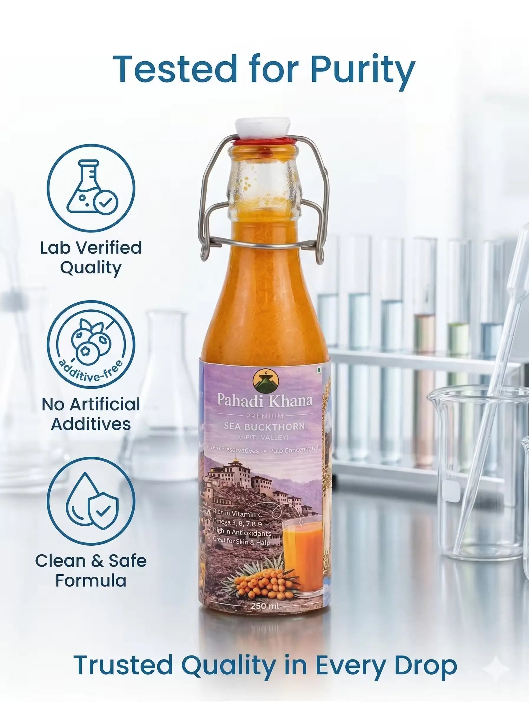Himalayan Sea Buckthorn Juice Pahadi Khana