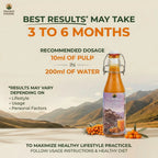 Himalayan Sea Buckthorn Juice Pahadi Khana